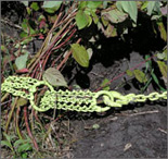 grubber tugger chain